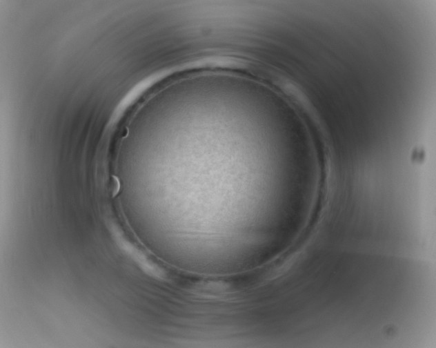 X0000114630784200910201419