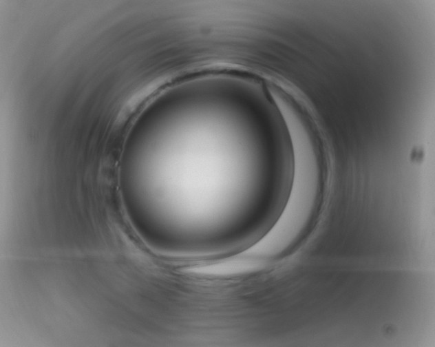 X0000114630785200910201419