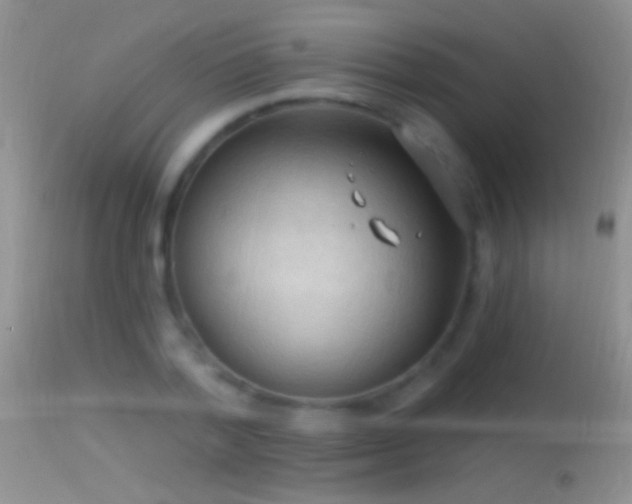 X0000114630788200910201419