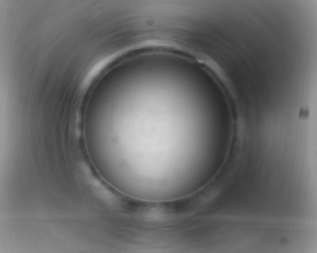 X0000114630791200910201419