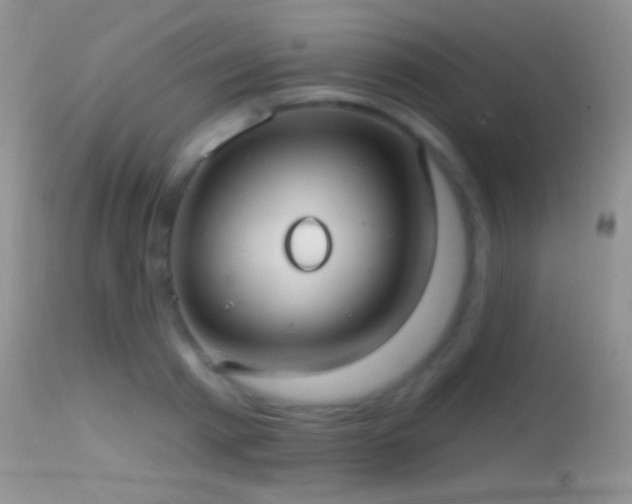 X0000114630793200910201419