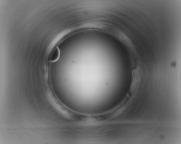 X0000114630796200910201419