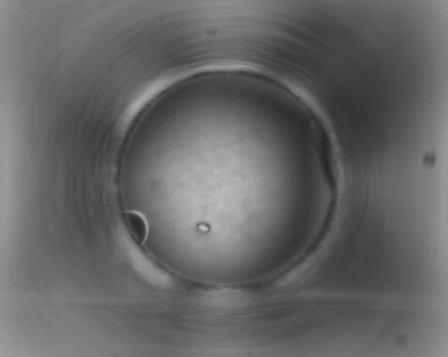 X0000114630797200910201419