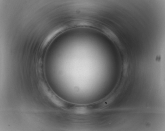 X0000114630798200910201419