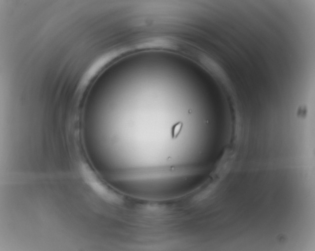 X0000114630800200910201418