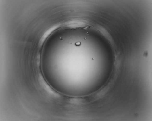 X0000114630804200910201418