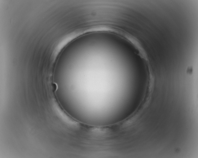 X0000114630805200910201418