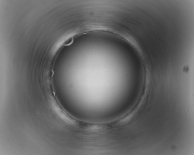 X0000114630806200910201418