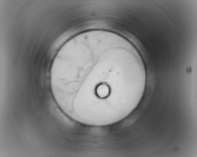 X0000114630807200910201418