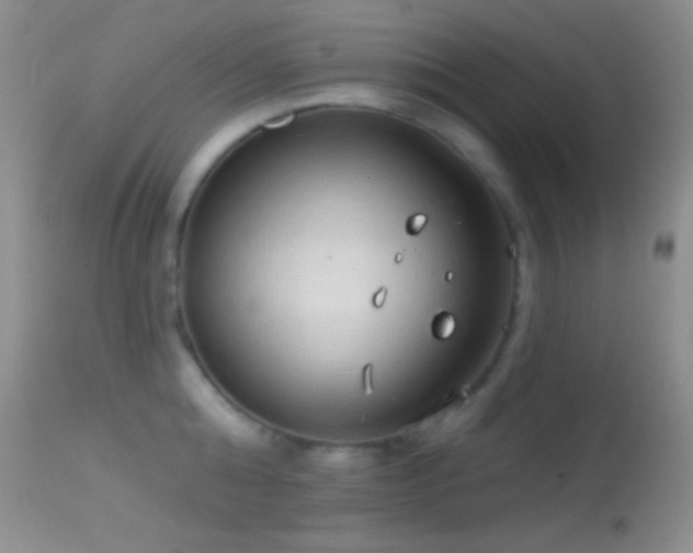 X0000114630808200910201418