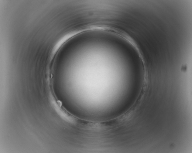 X0000114630811200910201418