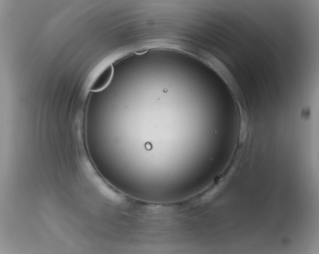 X0000114630812200910201418