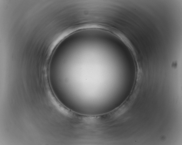 X0000114630813200910201418