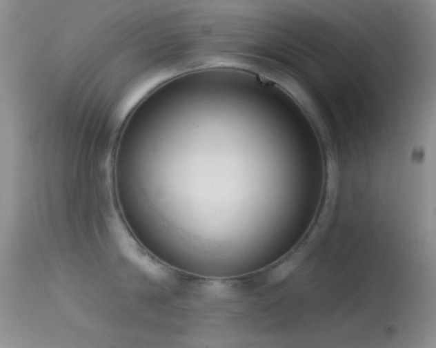 X0000114630814200910201418