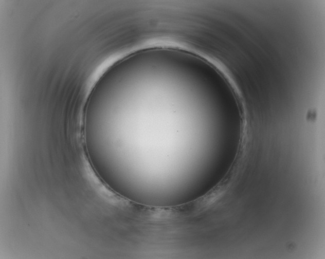 X0000114630815200910201418