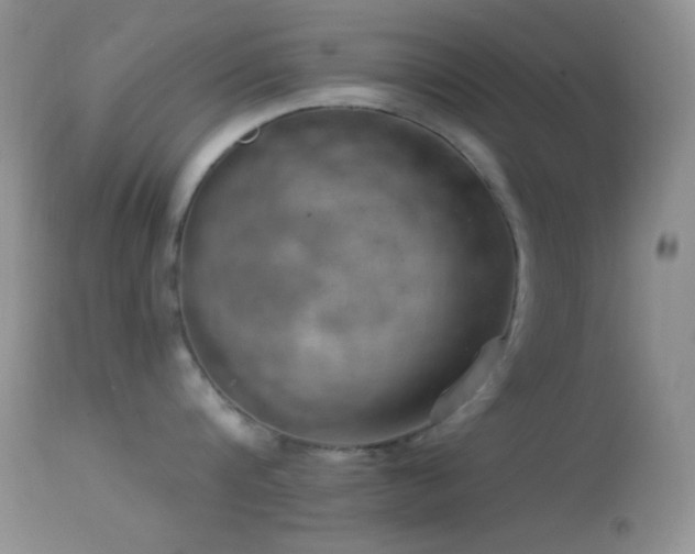 X0000114630816200910201418