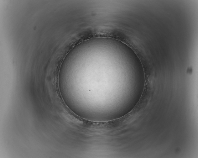 X0000114630817200910201417