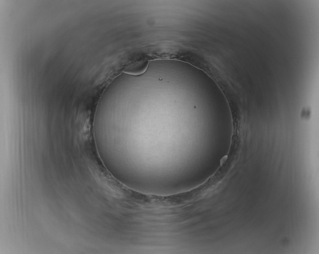 X0000114630818200910201417