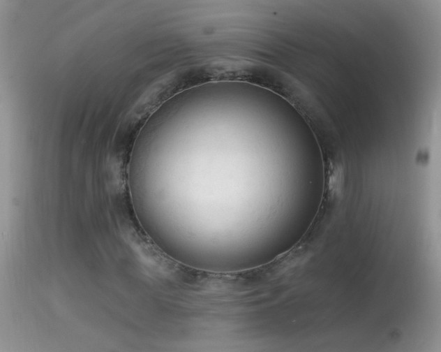 X0000114630819200910201417