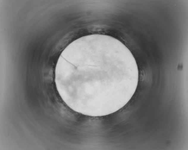 X0000114630820200910201417