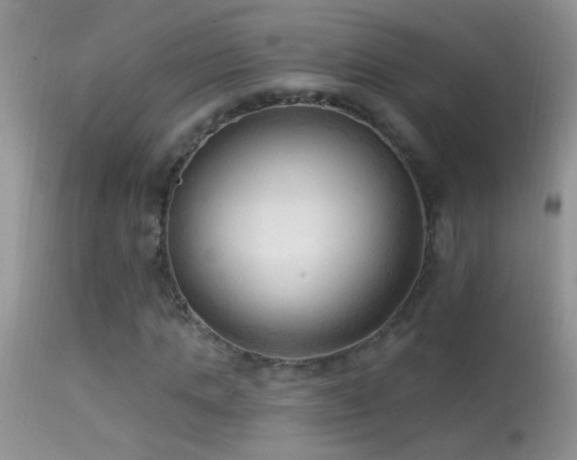 X0000114630821200910201417