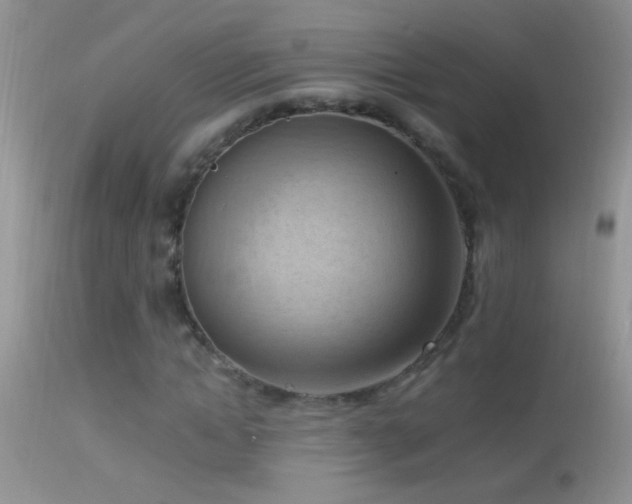 X0000114630822200910201418