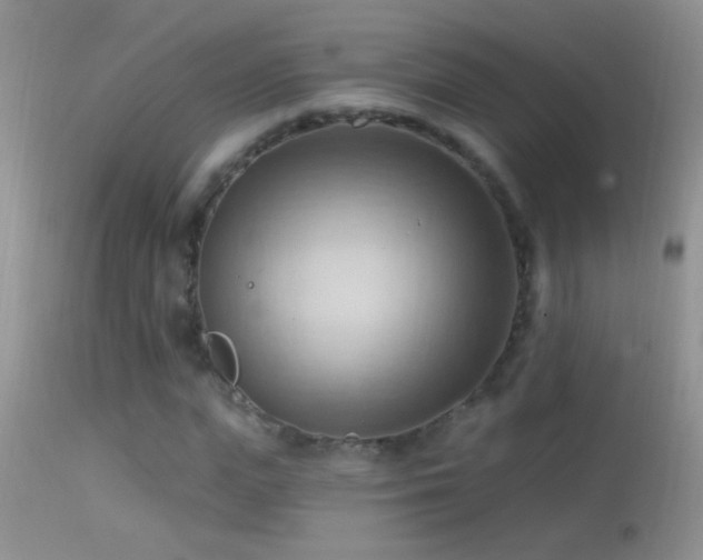 X0000114630823200910201418