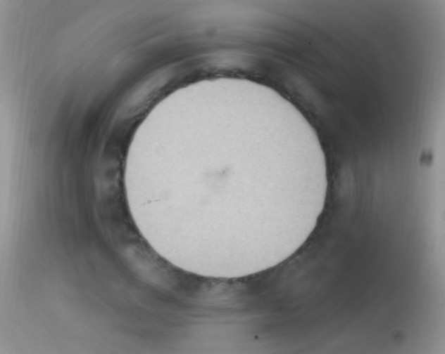 X0000114630824200910201418