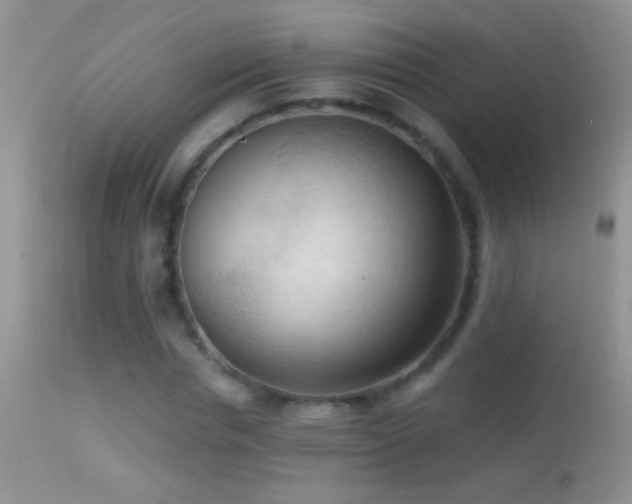 X0000114630826200910201418