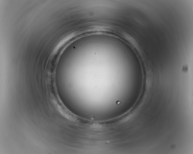 X0000114630827200910201418