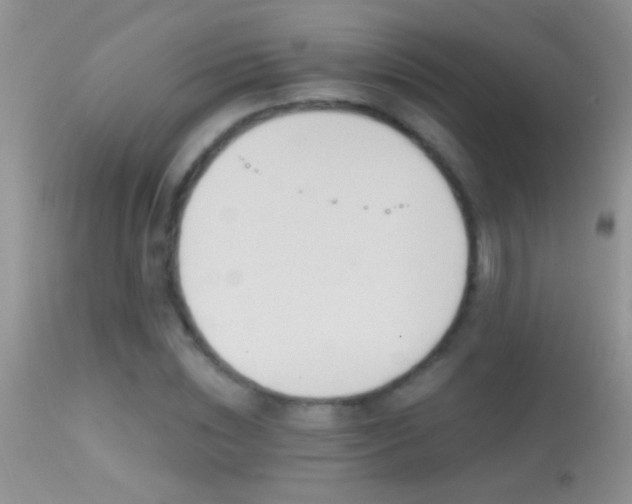 X0000114630828200910201418