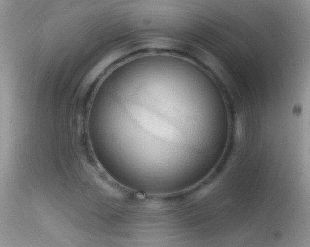 X0000114630829200910201418