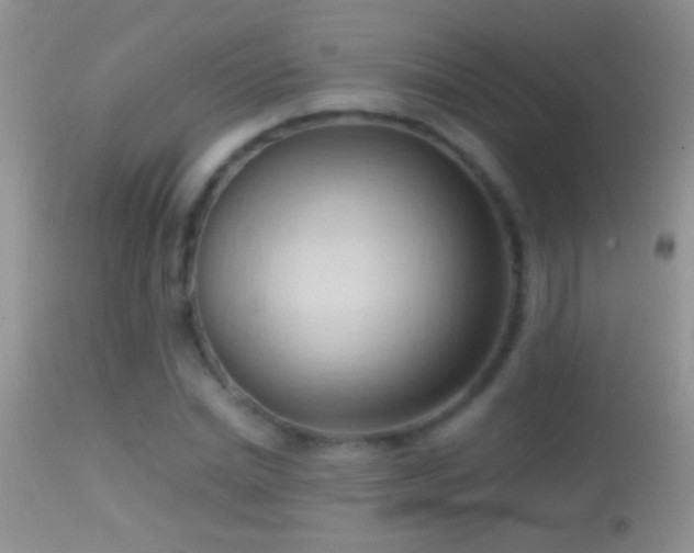 X0000114630830200910201418