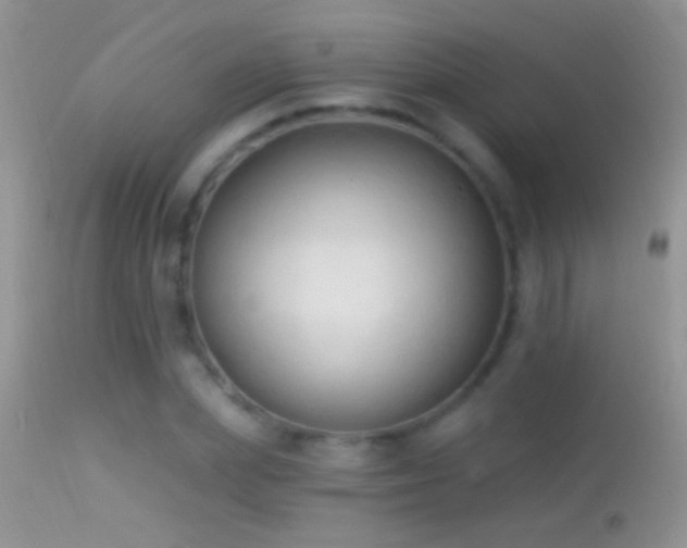 X0000114630831200910201418