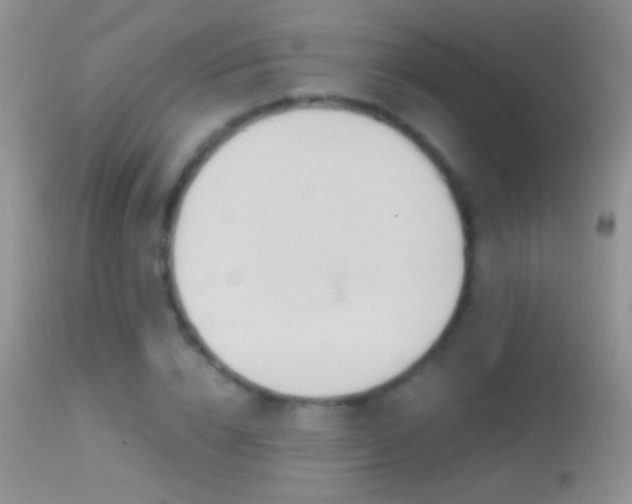 X0000114630832200910201418