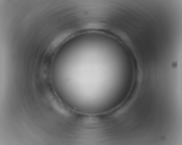 X0000114630833200910201418