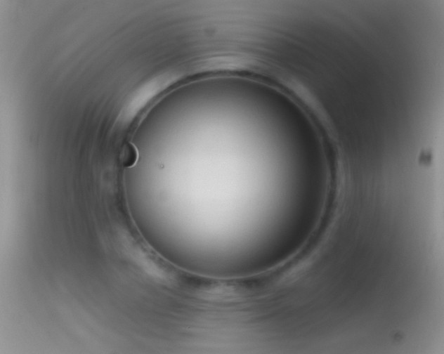 X0000114630834200910201418