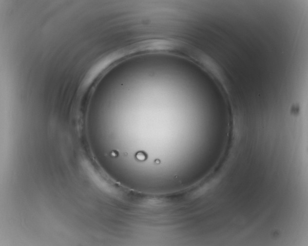 X0000114630835200910201418