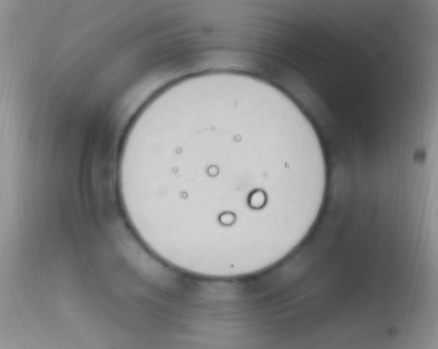 X0000114630836200910201418