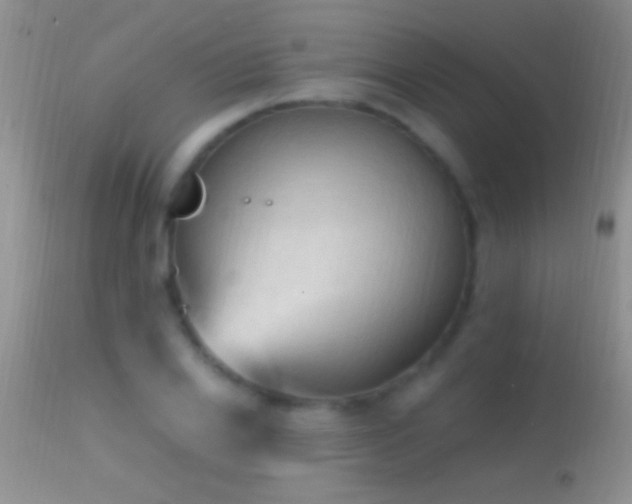 X0000114630838200910201418