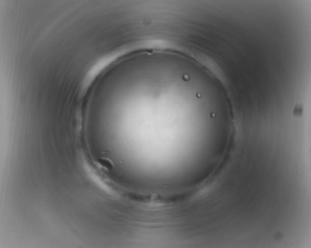 X0000114630839200910201418