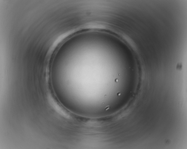 X0000114630840200910201418