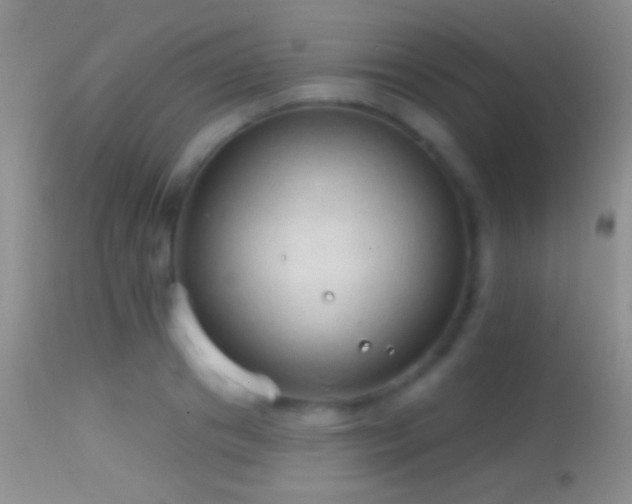 X0000114630841200910201418