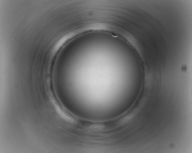 X0000114630845200910201418