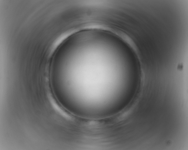 X0000114630847200910201418