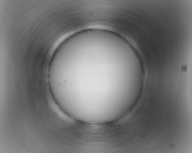 X0000114630848200910201418