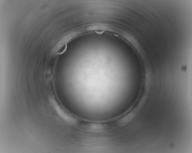 X0000114630849200910201418