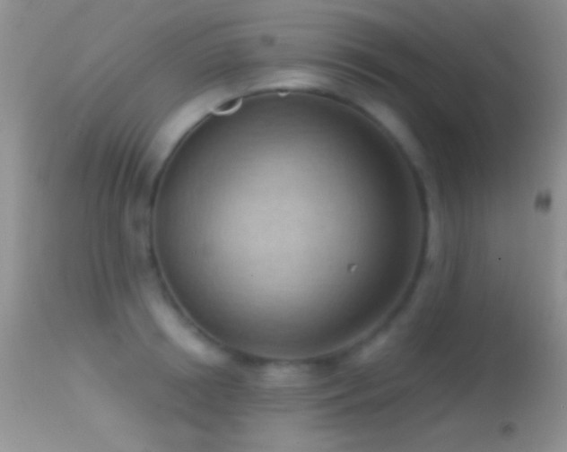 X0000114630850200910201418