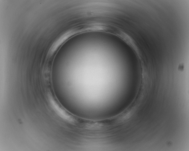 X0000114630851200910201418