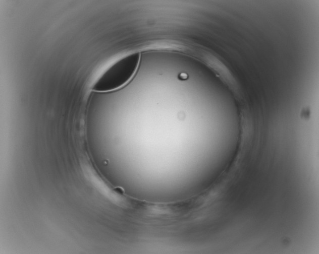 X0000114630852200910201418